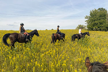 Rando Cheval - Voyage &agrave; cheval