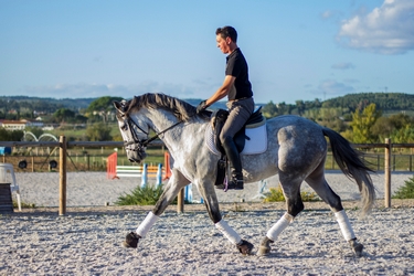 Rando Cheval au Portugal - Voyage à cheval et stage de dressage