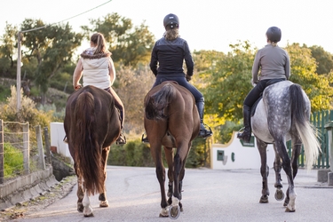 Rando Cheval au Portugal - Voyage à cheval et stage de dressage