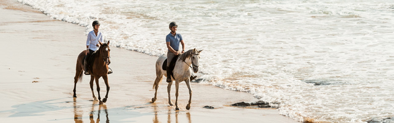 Nos conseils pour monter à cheval à la plage