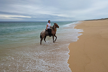 Voyage à cheval aux Baléares à Minorque - Randonnée équestre organisée par Randocheval