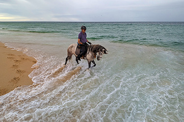 Voyage à cheval aux Baléares à Minorque - Randonnée équestre organisée par Randocheval