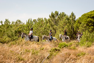 Voyage à cheval aux Baléares à Minorque - Randonnée équestre organisée par Randocheval