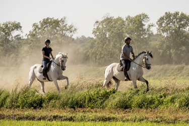 Voyage à cheval aux Baléares à Minorque - Randonnée équestre organisée par Randocheval