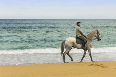 Voyage à cheval aux Baléares à Minorque - Randonnée équestre organisée par Randocheval