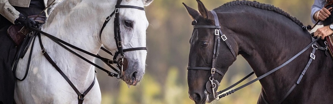 Rando Cheval - Voyage &agrave; cheval