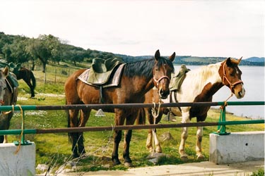 Voyage à cheval entre Espagne et Portugal - Randonnée équestre organisée par Randocheval