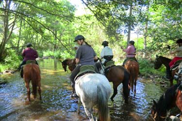 Voyage à cheval entre Espagne et Portugal - Randonnée équestre organisée par Randocheval