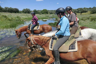 Voyage à cheval entre Espagne et Portugal - Randonnée équestre organisée par Randocheval