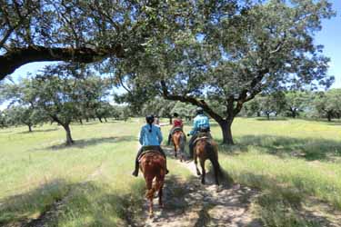 Voyage à cheval entre Espagne et Portugal - Randonnée équestre organisée par Randocheval