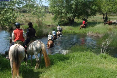 Aventure et Voyage à cheval au Portugal pour la fête de Golega - Randonnée équestre organisée par Randocheval