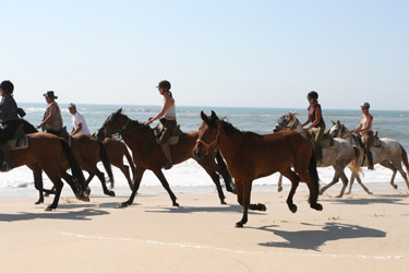 Randonnée équestre au Portugal - Rando Cheval / Absolu Voyages