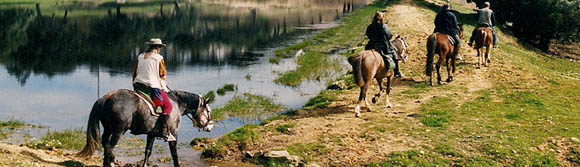 Aventure et Voyage à cheval au Portugal pour la fête de Golega - Randonnée équestre organisée par Randocheval