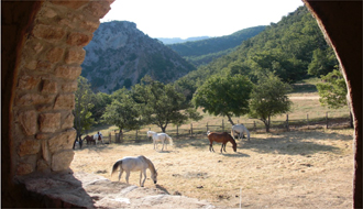 Randonnée en Haute Provence - RANDOCHEVAL