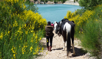 Randonnée à cheval - Un voyage Rando Cheval