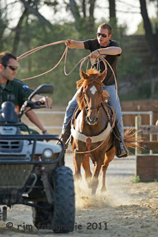 Randonnée équestre, Provence, Alpilles - RANDOCHEVAL