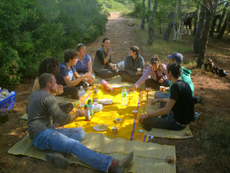 Randonnée équestre, Provence, Alpilles - RANDOCHEVAL