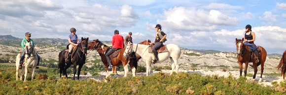 Randonnée équestre, Provence, Alpilles - RANDOCHEVAL