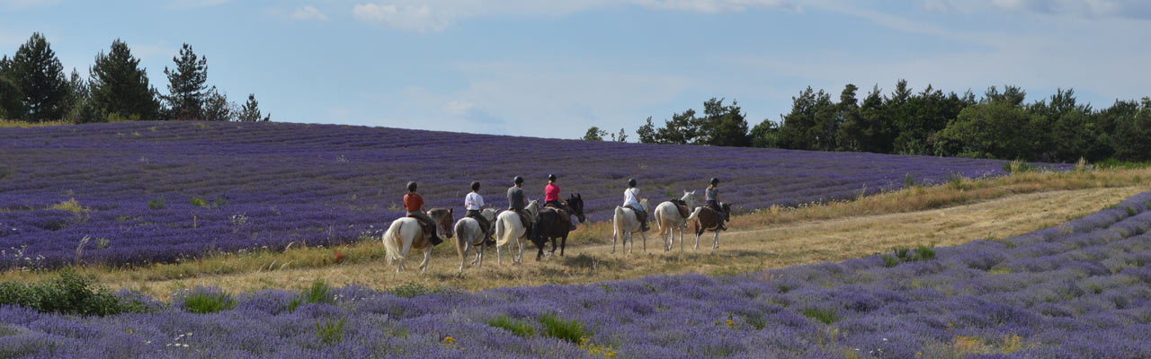 Voyage à cheval - Randonnée équestre organisée par Randocheval