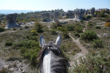 Rando Cheval - Voyage à cheval