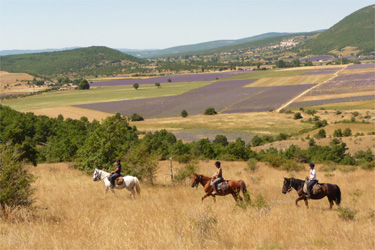 Rando Cheval - Voyage à cheval