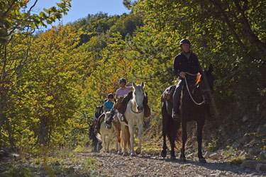 Rando Cheval - Voyage à cheval