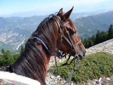 Randonnée équestre, Haute Provence, France - RANDOCHEVAL