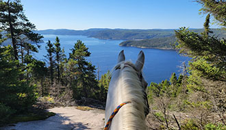 CANADA - Voyage à cheval au Québec - Randonnée équestre Randocheval