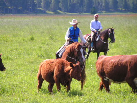 Album photos et carnet de voyage de notre séjour au Ranch éthologique de Kalispelle dans le Montana (Etats Unis - USA) - Rando Cheval / Absolu Voyages