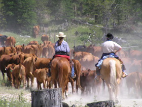 Album photos et carnet de voyage de notre séjour au Ranch éthologique de Kalispelle dans le Montana (Etats Unis - USA) - Rando Cheval / Absolu Voyages