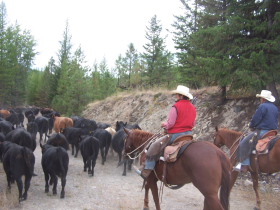 Album photos et carnet de voyage de notre séjour au Ranch éthologique de Kalispelle dans le Montana (Etats Unis - USA) - Rando Cheval / Absolu Voyages