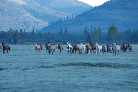 Album photos et carnet de voyage de notre séjour au Ranch éthologique de Kalispelle dans le Montana (Etats Unis - USA) - Rando Cheval / Absolu Voyages