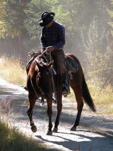 Cow  boy et son Quarter - USA - RANDOCHEVAL