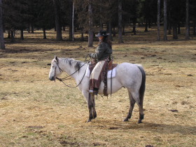 Album photos et carnet de voyage de notre séjour au Ranch éthologique de Kalispelle dans le Montana (Etats Unis - USA) - Rando Cheval / Absolu Voyages