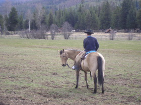 Album photos et carnet de voyage de notre séjour au Ranch éthologique de Kalispelle dans le Montana (Etats Unis - USA) - Rando Cheval / Absolu Voyages