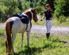 Selle - Randonn&eacute;e &eacute;questre en Roumanie - Randocheval