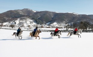 Randonnée équestre en Croatie / randocheval - Absolu voyages