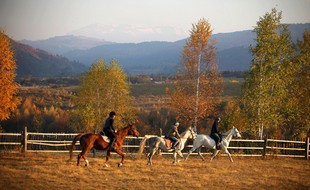 Randonnée équestre en Croatie / randocheval - Absolu voyages