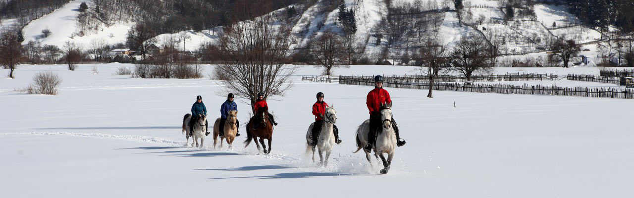 Voyage à cheval - Randonnée équestre organisée par Randocheval