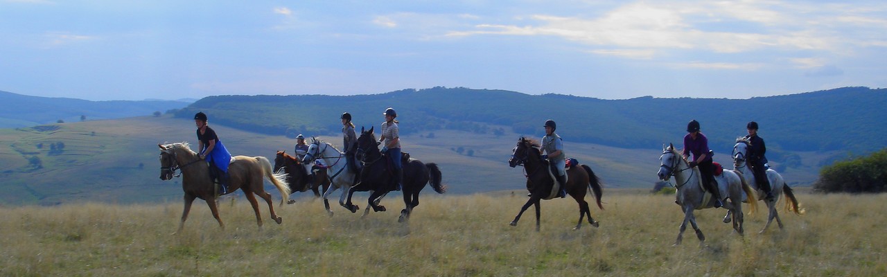 Randonnée équestre en Croatie / randocheval - Absolu voyages