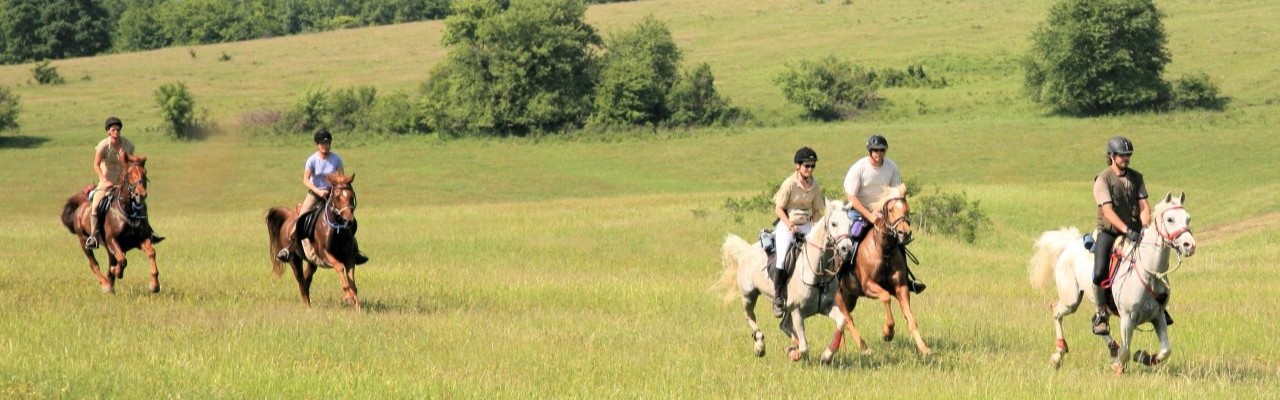 Randonn&eacute;e &eacute;questre en Croatie / randocheval - Absolu voyages