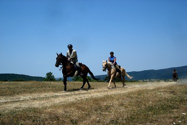 Rando Cheval - Voyage à cheval