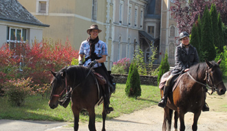 Stage d'éthologie dans la Sarthe - Randocheval 