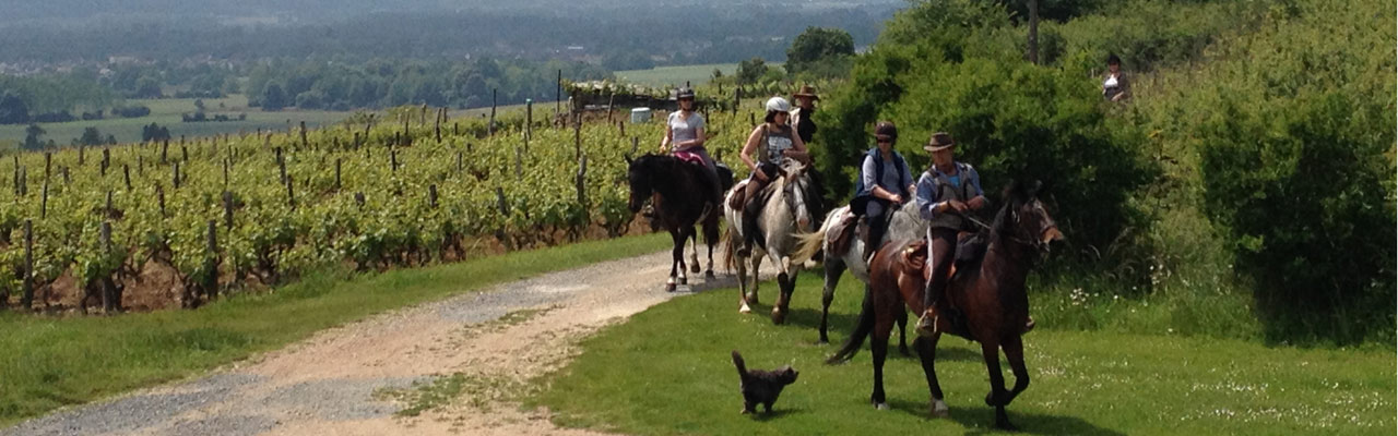 Voyage à cheval - Randonnée équestre organisée par Randocheval