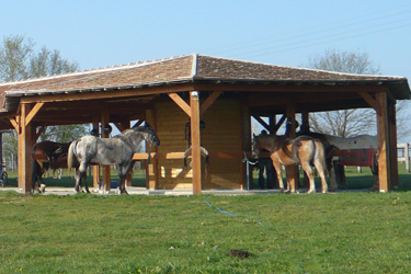 Rando Cheval - Voyage à cheval en Sarthe