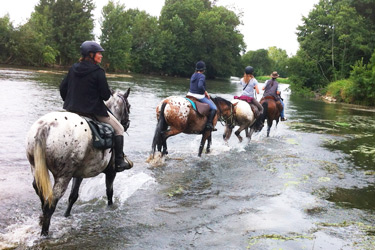 Rando Cheval - Voyage à cheval en Sarthe