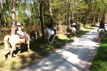Rando Cheval - Voyage à cheval en Sarthe
