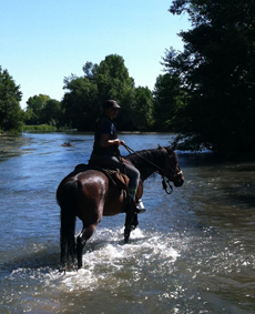 randonnée équestre en Sarthe - Randocheval