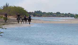 Randonnée à Cheval au Sénégal - RANDO CHEVAL