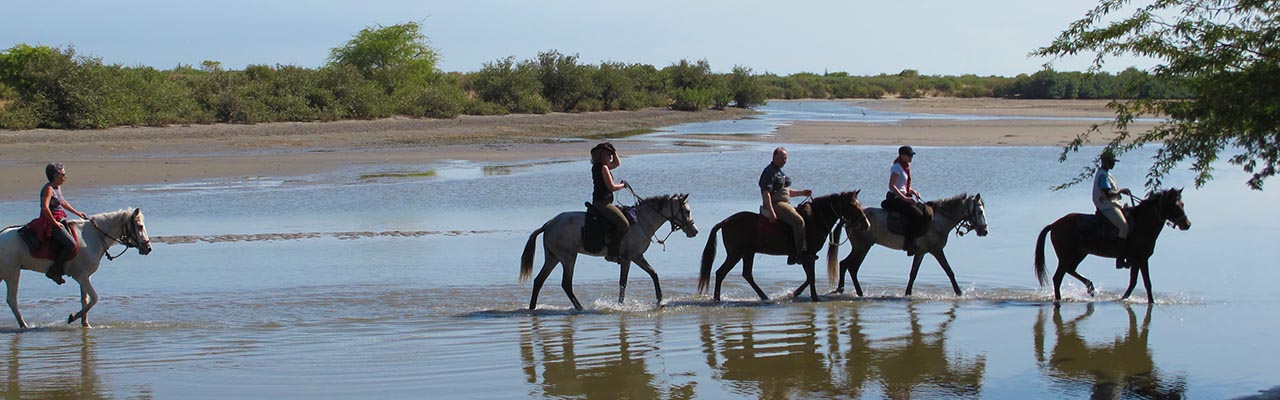 Voyage à cheval - Randonnée équestre organisée par Randocheval